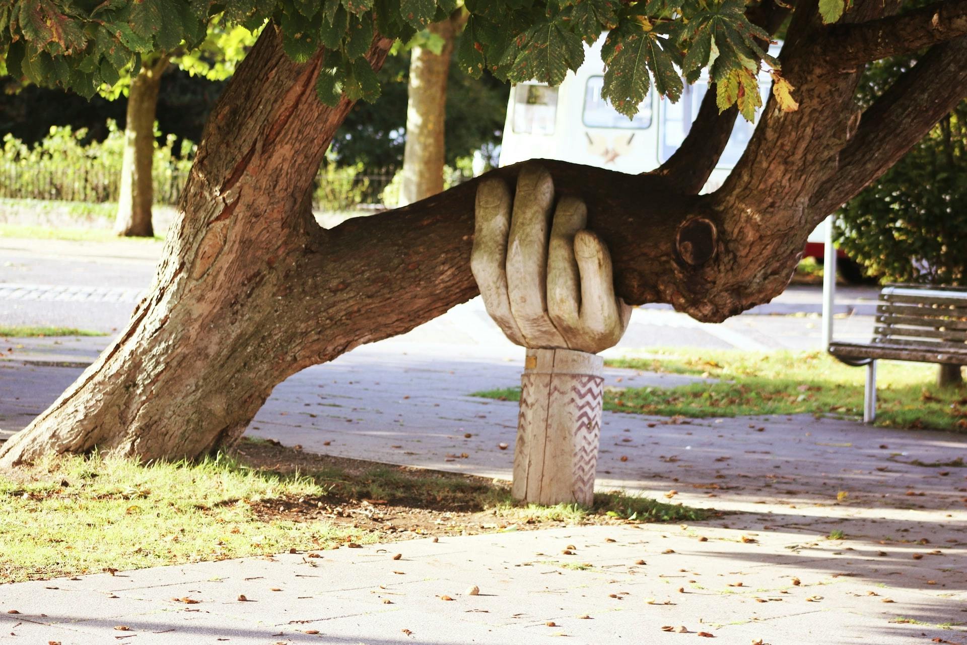 Tree supported by large wooden hand