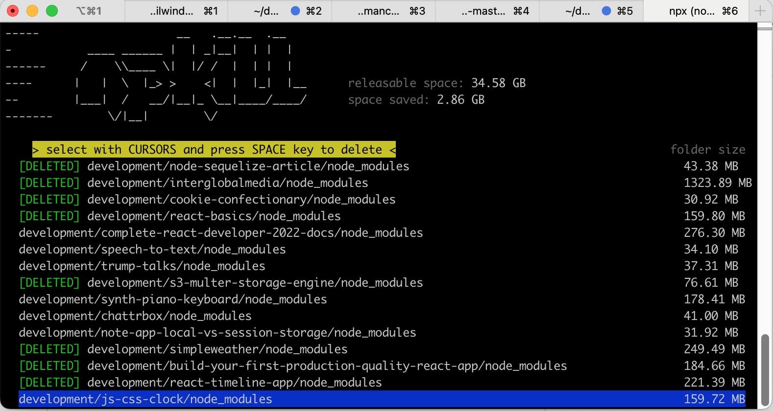 npkill output to Terminal screenshot 2