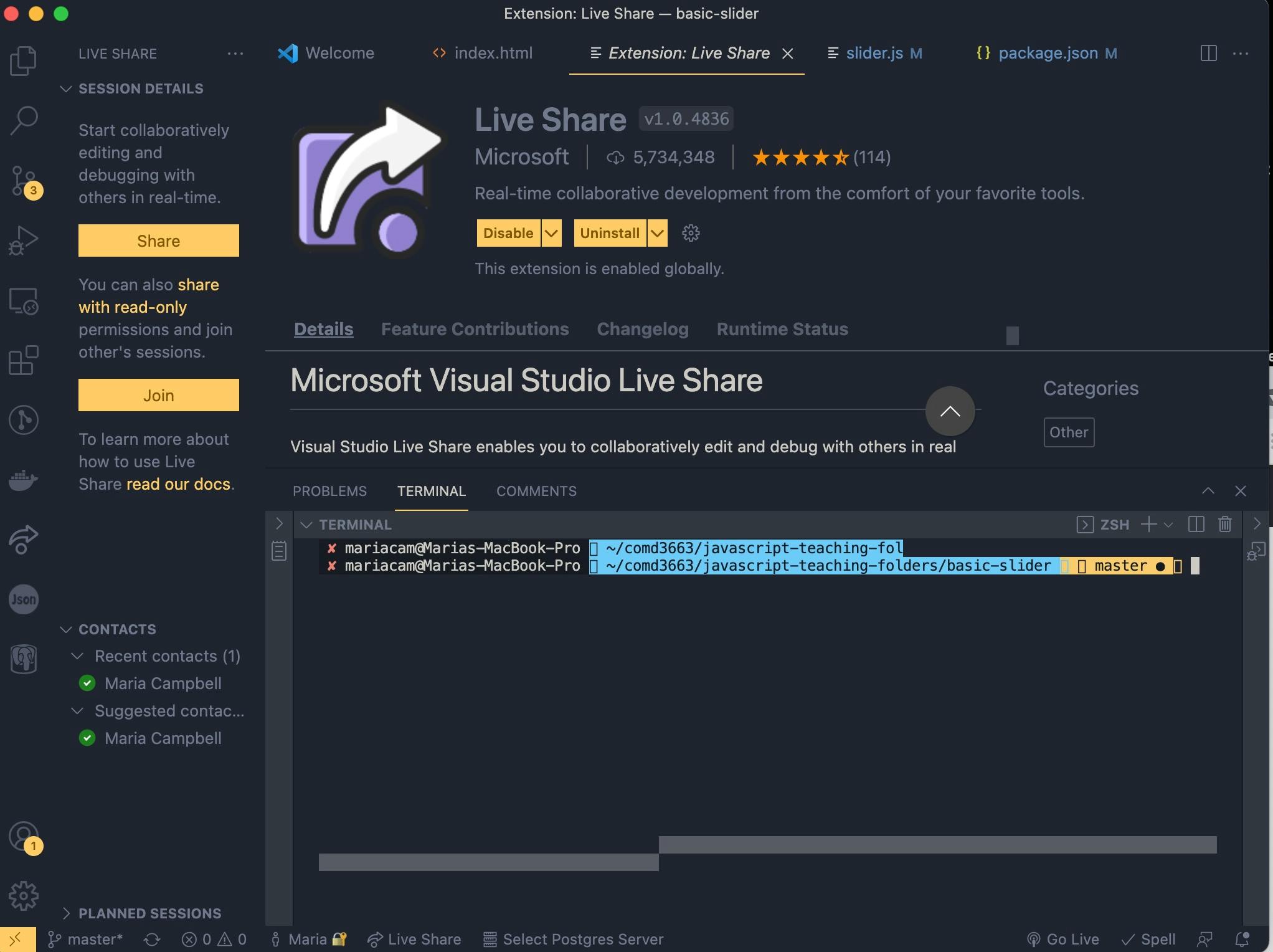 Live Share Icon Now Appears in the Extensions VS Code Sidebar Menu
